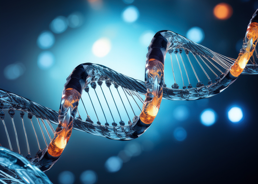 Peptides Beginners Guide